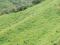 Finca en venta en Miranda Carabobo de 800Ha